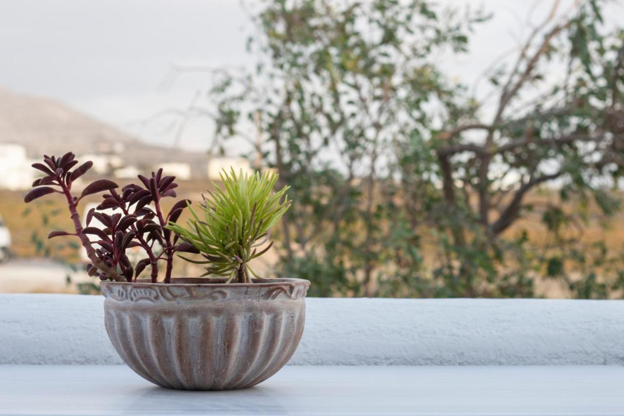 Arcana Santorini Villas, An Authentic Cycladic Experience Akrotiri  Exterior photo